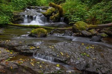 Sigma 28-105mm f/2.8 DG DN Art Lens (Sony)