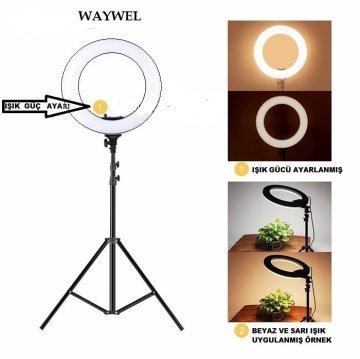 PDX Ring Light RL-288A Sürekli Led Işık