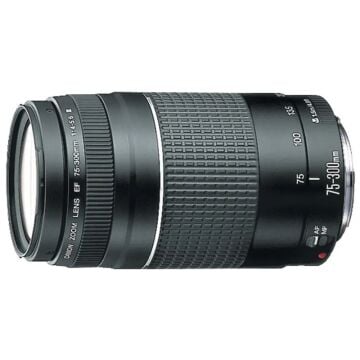 Canon EOS 2000D 18-55 + 75-300mm Double Lens Kit