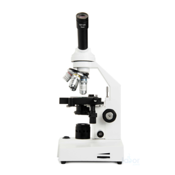 Celestron 44230-CGL Labs CL-CM2000CF Biyolojik Mikroskop