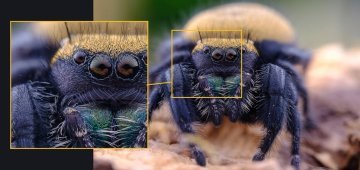 Laowa 65mm f/2.8 2X Ultra-Macro Sony E Uyumlu Lens
