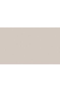 BD Backgrounds Stüdyo Fon  (Silver Gray 127)