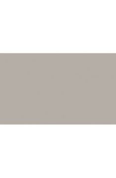 BD Backgrounds Stüdyo Fon  (Pursuit Gray 123)
