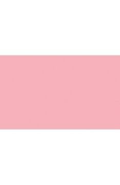 BD Backgrounds Stüdyo Fon  (Pastel Pink 117)