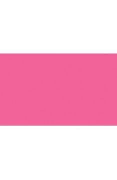 BD Backgrounds Stüdyo Fon  ( Hot Pink 163)