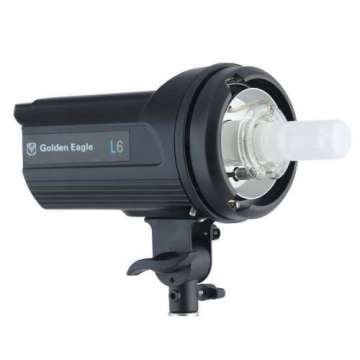 Golden Eagle L6 600W Ekonomik 2'li Paraflaş Set