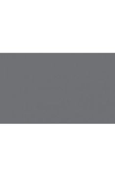 BD Backgrounds Stüdyo Fon  (Dark Gray 172)
