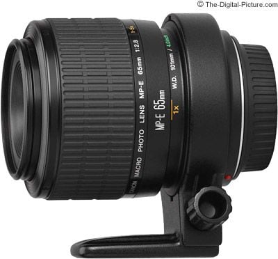 Canon MP-E 65mm f/2.8 1-5x Macro Lens