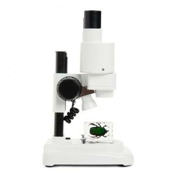 Celestron 44207 S20 Stereo Mikroskop