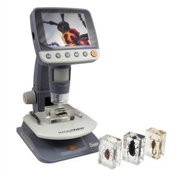 Celestron 44407 3D Böcek Örneği Seti 1