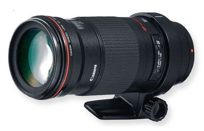 Canon EF 180mm f/3.5L Macro USM Lens