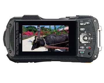 Ricoh WG-60 Sualtı Fotoğraf Makinesi