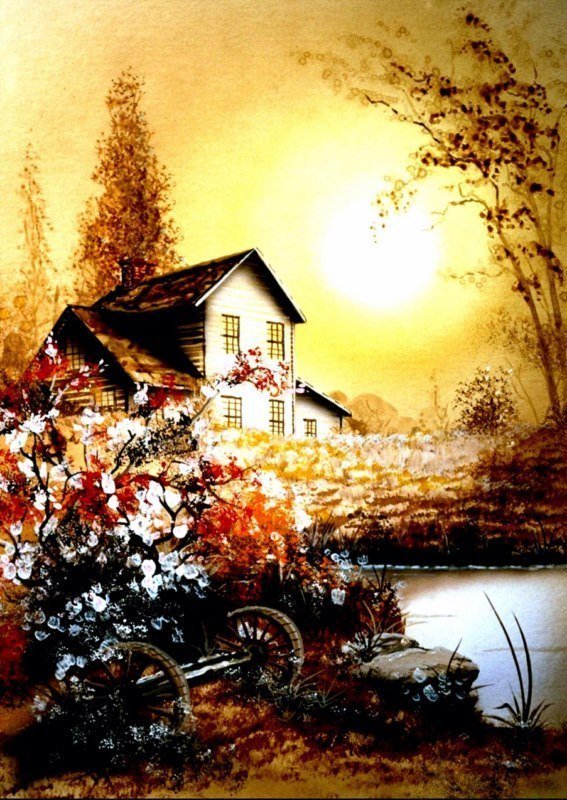Weifeng M4 270x550cm Sonsuz Desenli Fon Seti